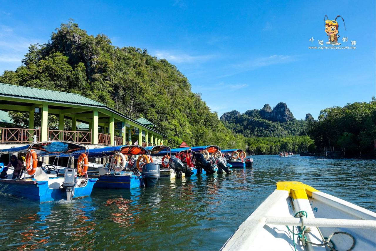 Jelajahi Keindahan Ekosistem Bakau Langkawi Bersama Mangrove Tour Langkawi